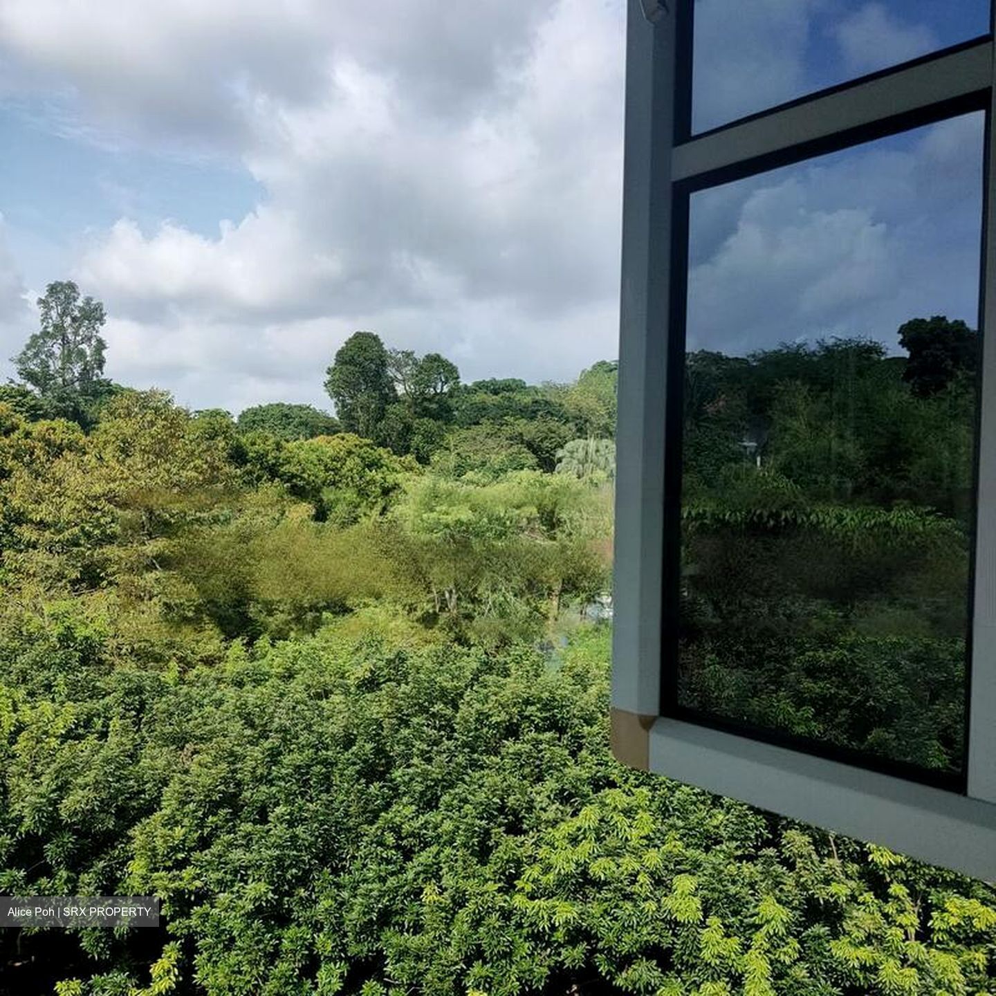 White House Park (D10), Detached #464110351